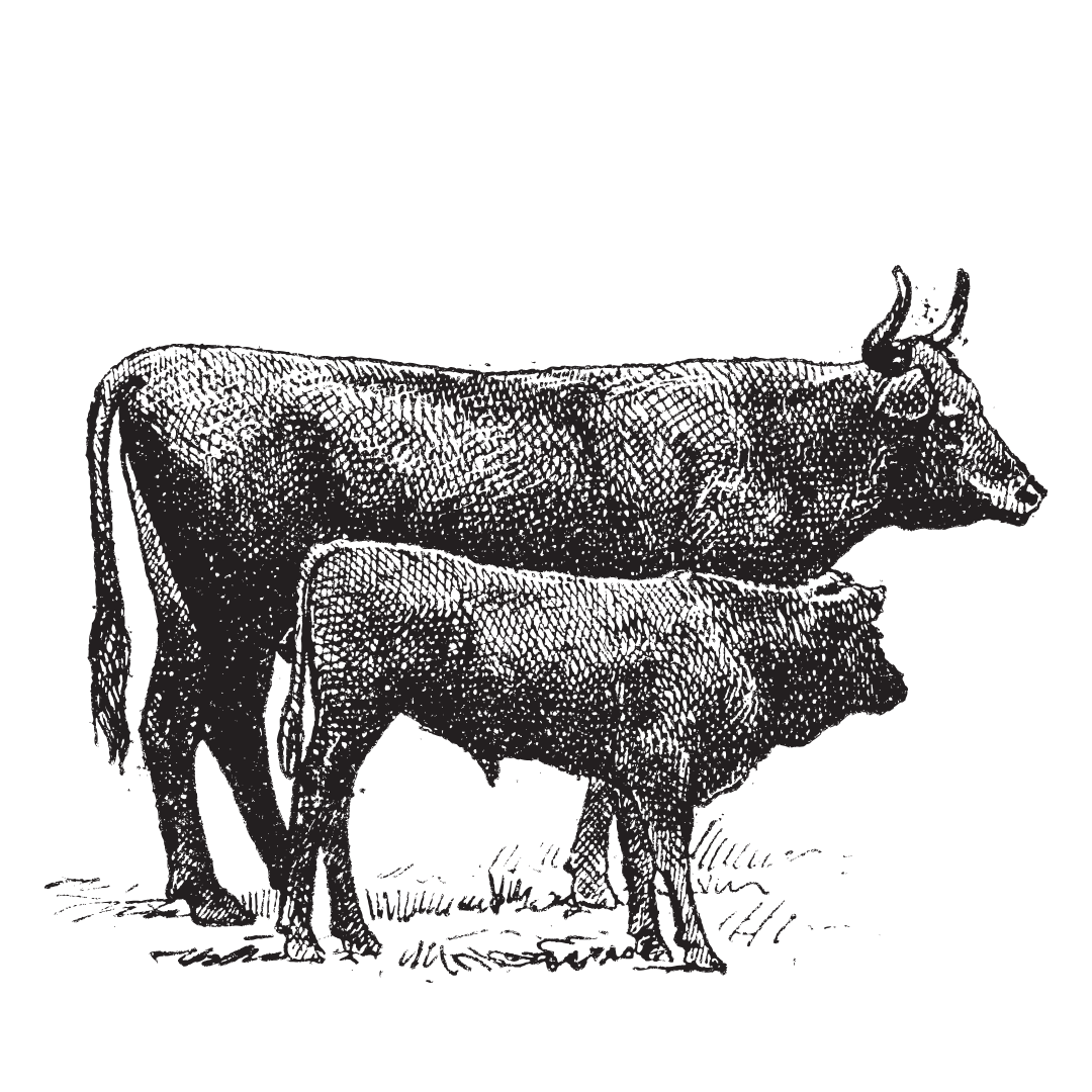 Long Farm Meats Grass Fed Beef